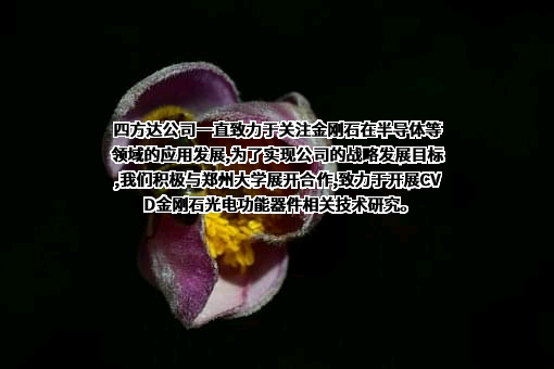 河南四方达超硬材料股份有限公司