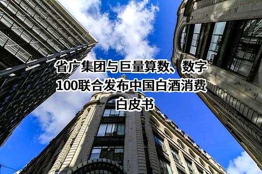 广东省广告集团股份有限公司