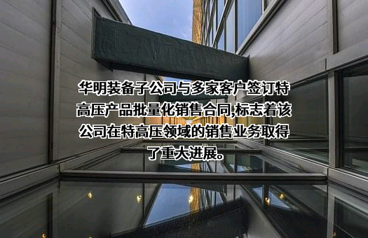 华明电力装备股份有限公司