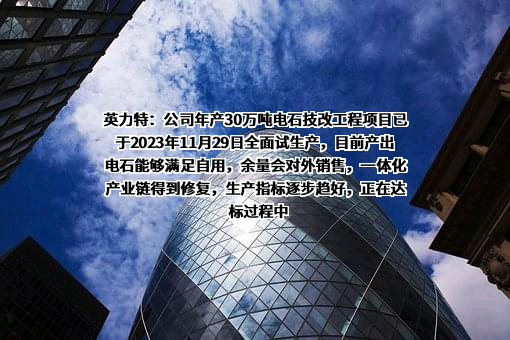宁夏英力特化工股份有限公司