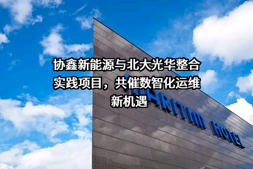 协鑫新能源控股有限公司