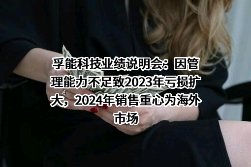 孚能科技（赣州）股份有限公司