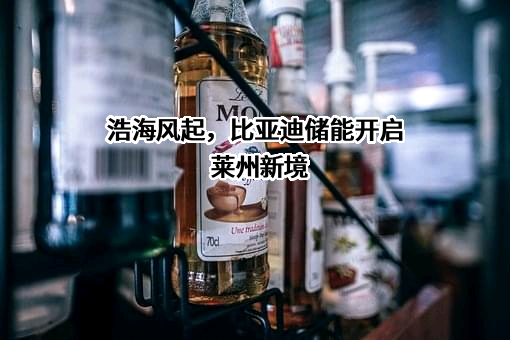 比亚迪股份有限公司
