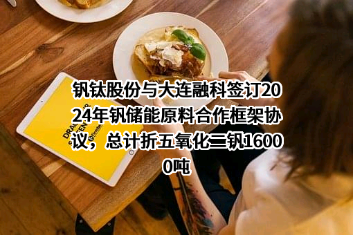 大连融科储能集团股份有限公司