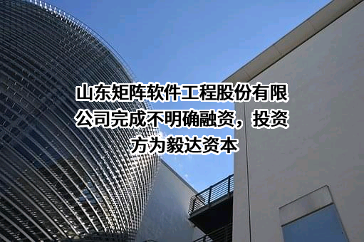 山东矩阵软件工程股份有限公司
