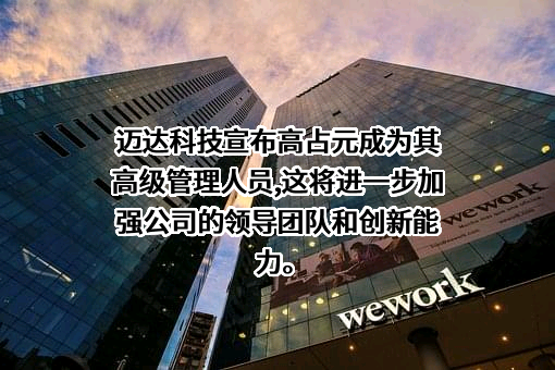 天津迈达医学科技股份有限公司