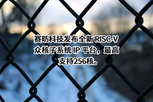 上海赛昉科技有限公司