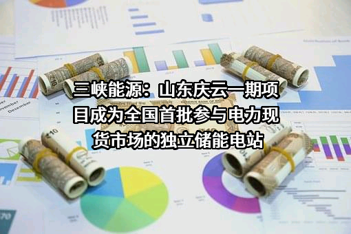 中国三峡新能源（集团）股份有限公司