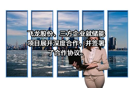 河南装投新能源有限公司