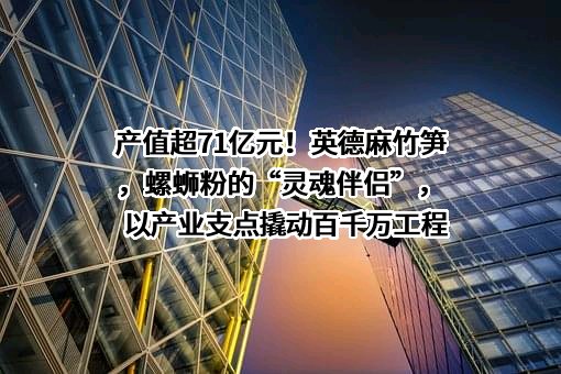 上海极野网络科技有限公司
