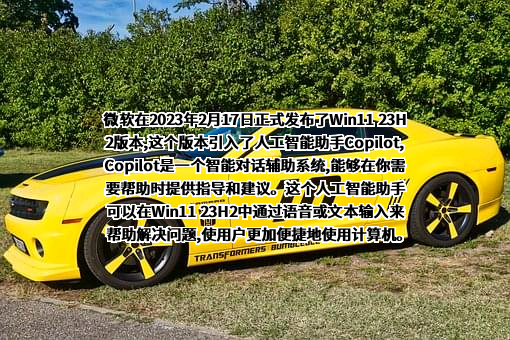 微软（中国）有限公司
