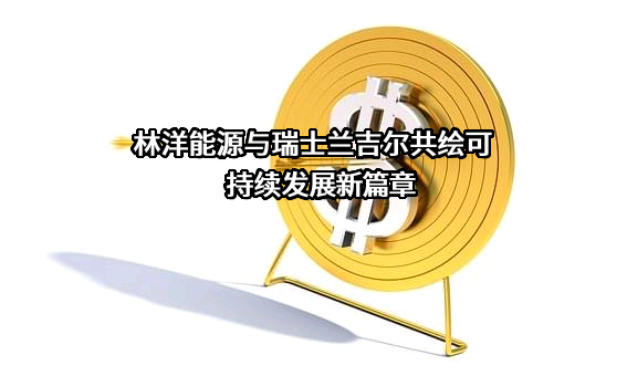 江苏林洋能源股份有限公司
