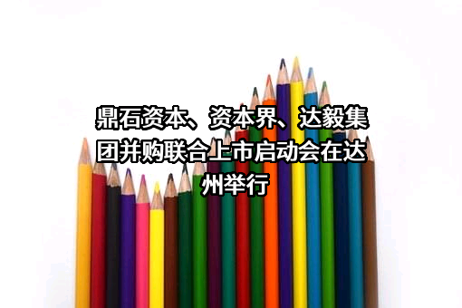 鼎石资本有限公司