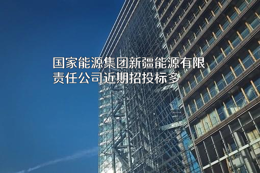 国家能源集团新疆能源有限责任公司