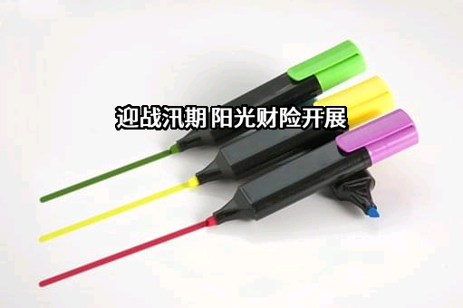 阳光财产保险股份有限公司