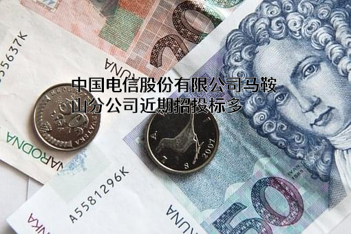 中国电信股份有限公司马鞍山分公司