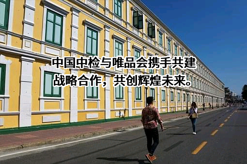 唯品会（中国）有限公司