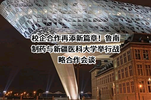 鲁南制药集团股份有限公司