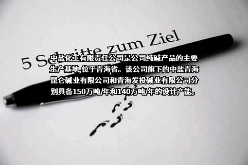 中盐内蒙古化工股份有限公司