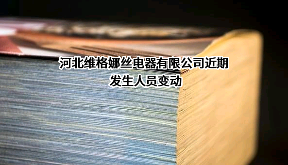 河北维格娜丝电器有限公司