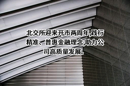北交所金融服务（上海）有限公司