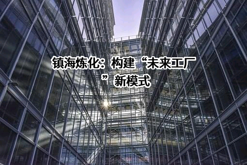 中石化宁波镇海炼化有限公司