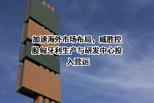 威胜控股有限公司