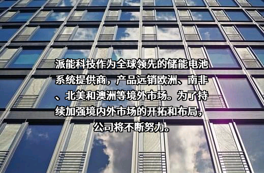 上海派能能源科技股份有限公司