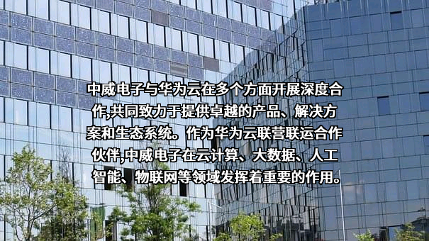 杭州中威电子股份有限公司