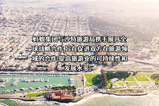 蚂蚁科技集团股份有限公司