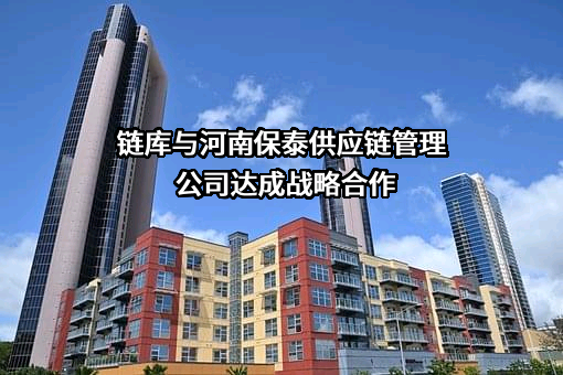 河南保泰供应链管理有限公司