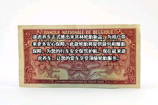 米其林(中国)投资有限公司