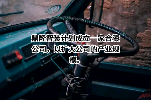 山西鼎隆智装科技股份有限公司