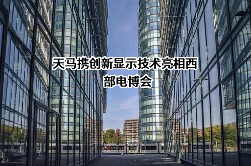 天马微电子股份有限公司