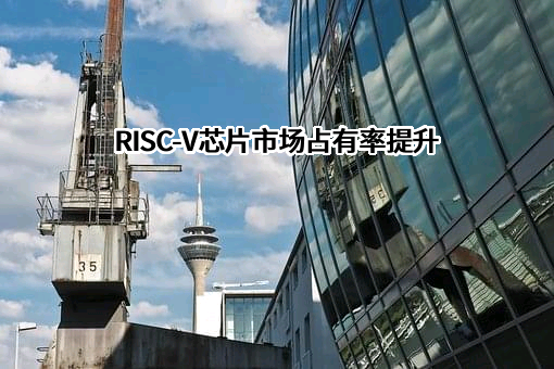 上海赛昉科技有限公司
