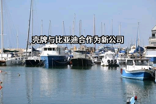 壳牌（中国）有限公司