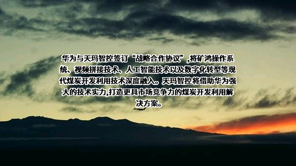 华为技术有限公司