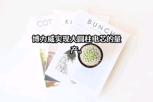 广东博力威科技股份有限公司