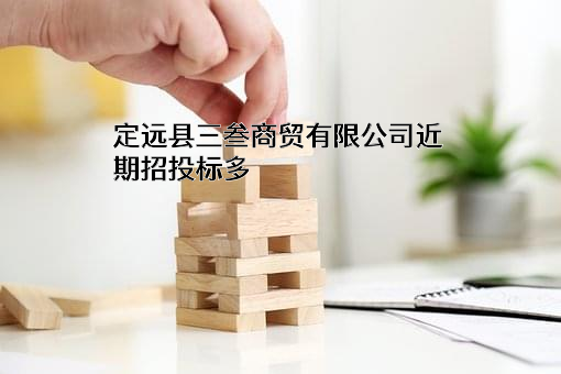 定远县三叁商贸有限公司近期招投标项目多