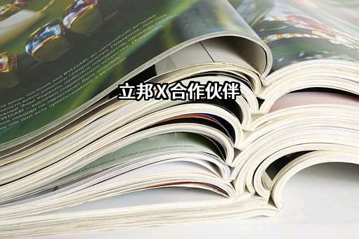 上海虹有实业有限公司
