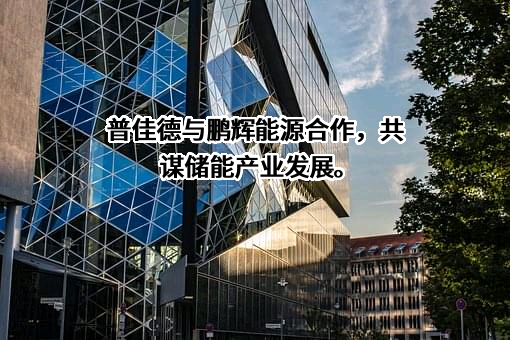 湖南普佳德新能源科技有限公司