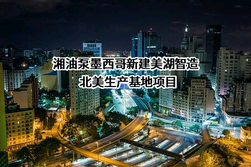 湖南美湖智造股份有限公司