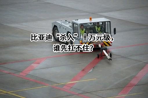 比亚迪股份有限公司