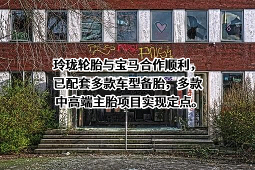 山东玲珑轮胎股份有限公司