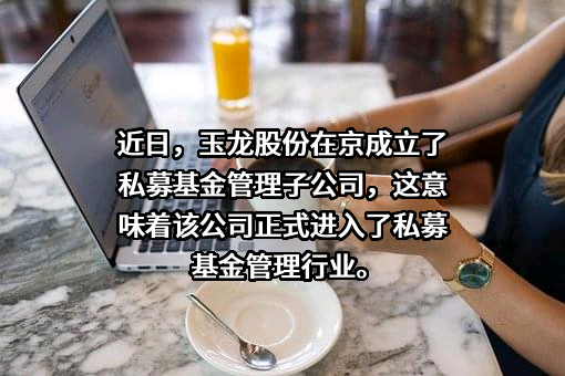 山东玉龙黄金股份有限公司