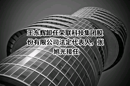 荣联科技集团股份有限公司
