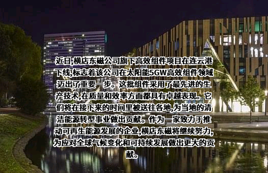 横店集团东磁股份有限公司