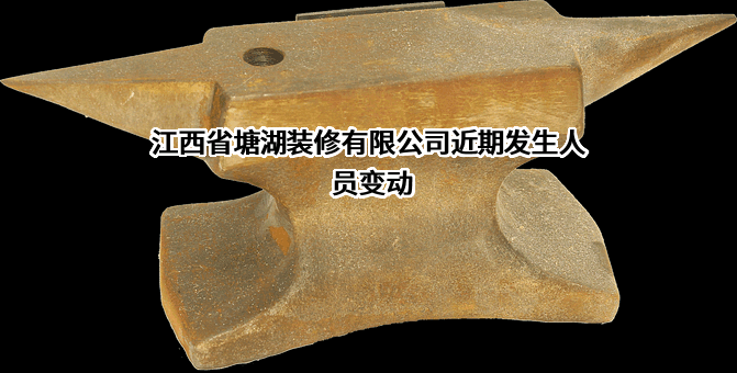 江西省塘湖装修有限公司