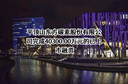 平顶山东方碳素股份有限公司