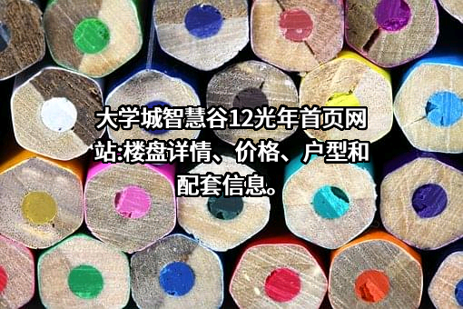 碧桂园控股有限公司